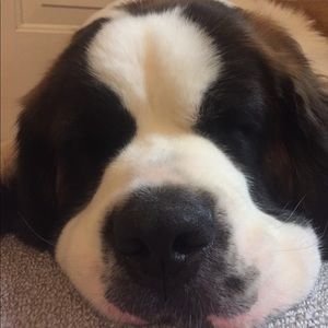 Meet your Posher, Kody